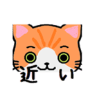 ねこのたいよう 日常編（個別スタンプ：40）