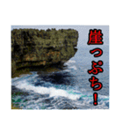 シュールな画像スタンプ（個別スタンプ：7）