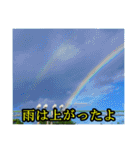 シュールな画像スタンプ（個別スタンプ：8）