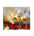 シュールな画像スタンプ（個別スタンプ：12）