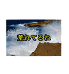 シュールな画像スタンプ（個別スタンプ：13）