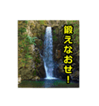 シュールな画像スタンプ（個別スタンプ：16）