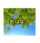 シュールな画像スタンプ（個別スタンプ：22）