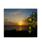 シュールな画像スタンプ（個別スタンプ：25）