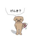 シンプルで使いやすい犬（個別スタンプ：4）