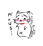 痩せたい！ぽちゃねこのスタンプ（個別スタンプ：25）