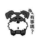 雪納瑞（個別スタンプ：12）