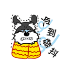 雪納瑞（個別スタンプ：29）