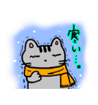 半目がデフォのアメショースタンプ（個別スタンプ：8）