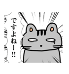 半目がデフォのアメショースタンプ（個別スタンプ：15）