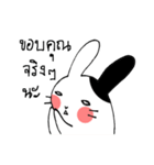 Pocker-face Rabbit（個別スタンプ：35）