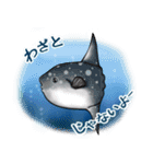 ノノの海洋世界 ( 日本語 )（個別スタンプ：7）