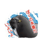 ノノの海洋世界 ( 日本語 )（個別スタンプ：12）