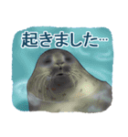 ノノの海洋世界 ( 日本語 )（個別スタンプ：13）