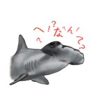 ノノの海洋世界 ( 日本語 )（個別スタンプ：16）