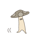 きのこのタロウ（個別スタンプ：6）