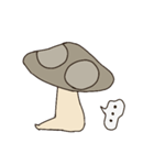 きのこのタロウ（個別スタンプ：17）