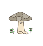 きのこのタロウ（個別スタンプ：21）