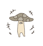 きのこのタロウ（個別スタンプ：29）