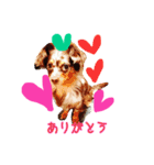 Friends of Koro and Koharu（個別スタンプ：1）