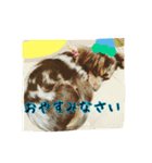 Friends of Koro and Koharu（個別スタンプ：9）