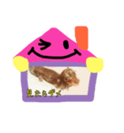 Friends of Koro and Koharu（個別スタンプ：10）