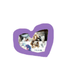 Friends of Koro and Koharu（個別スタンプ：24）