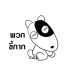 STANG DOG（個別スタンプ：1）