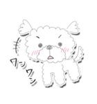 マルチーズのももちゃん（個別スタンプ：4）