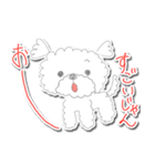マルチーズのももちゃん（個別スタンプ：12）