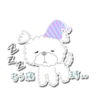 マルチーズのももちゃん（個別スタンプ：15）