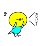 セキセイインコのぴちゃこさん パート2（個別スタンプ：8）