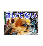 熱海の人気チワワ"イチ"くん第二弾（個別スタンプ：6）