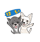 NaNa and lovely dogs（個別スタンプ：4）