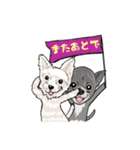 NaNa and lovely dogs（個別スタンプ：16）