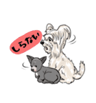 NaNa and lovely dogs（個別スタンプ：24）