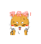 しばけん-たちばな2（個別スタンプ：3）