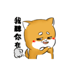 しばけん-たちばな2（個別スタンプ：8）
