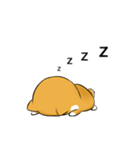 しばけん-たちばな2（個別スタンプ：13）