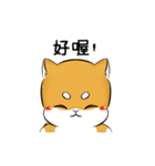 しばけん-たちばな2（個別スタンプ：19）