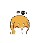 しばけん-たちばな2（個別スタンプ：20）