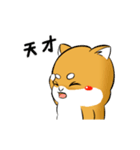 しばけん-たちばな2（個別スタンプ：24）