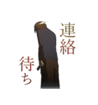 CALLINGLINEスタンプ（個別スタンプ：8）