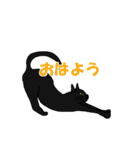 猫々しいすたんぷ（個別スタンプ：2）