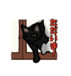 猫々しいすたんぷ（個別スタンプ：6）