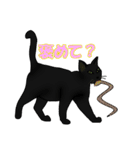 猫々しいすたんぷ（個別スタンプ：10）
