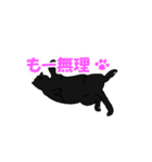 猫々しいすたんぷ（個別スタンプ：11）