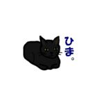 猫々しいすたんぷ（個別スタンプ：12）
