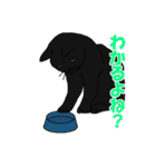 猫々しいすたんぷ（個別スタンプ：15）