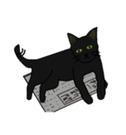 猫々しいすたんぷ（個別スタンプ：17）